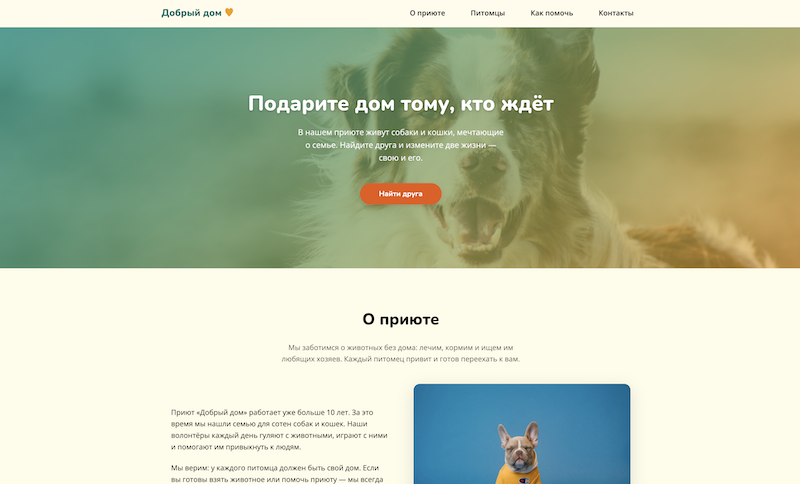 Добрый дом — приют для животных preview