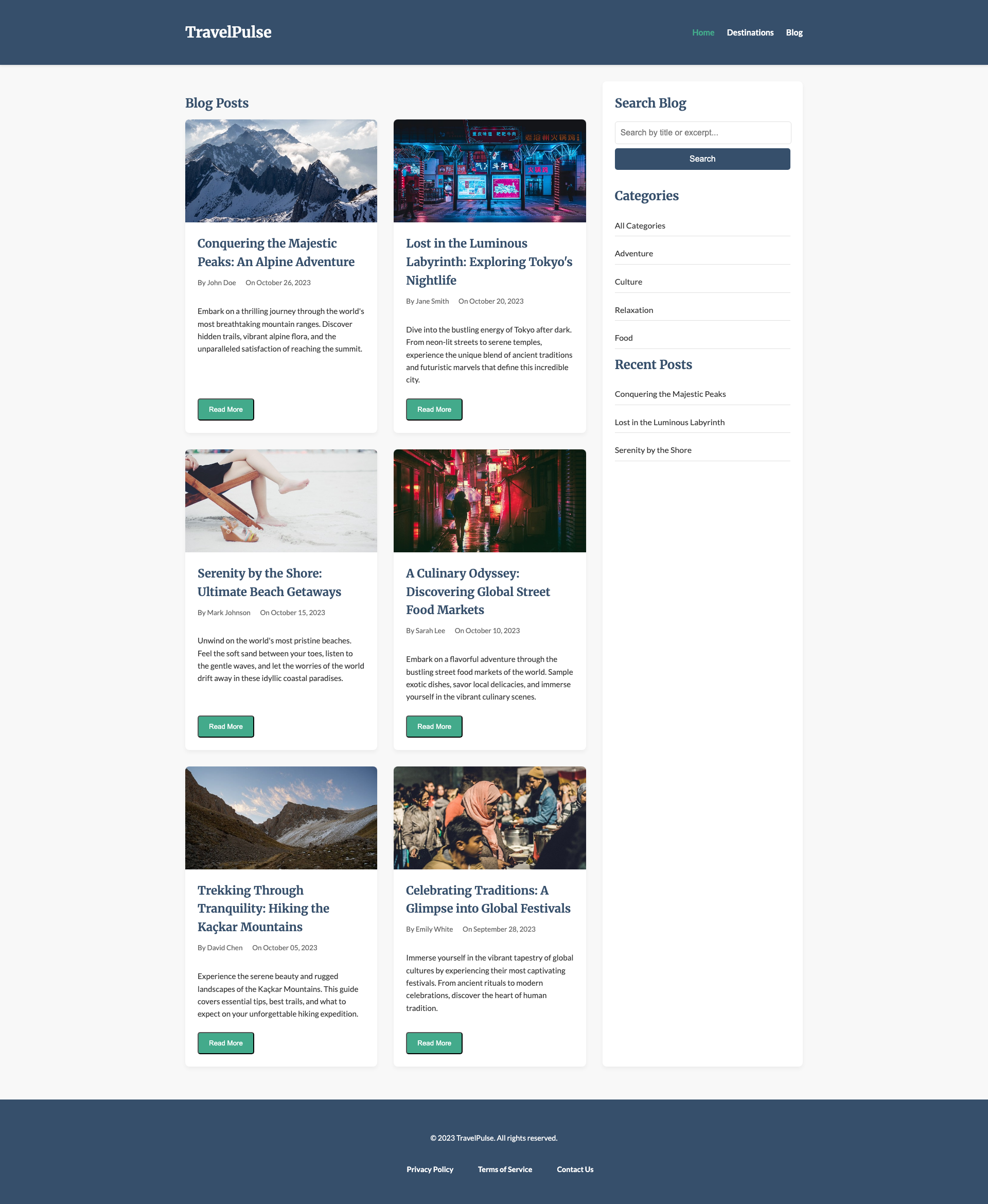 Travel Agency Blog preview